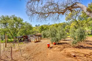 5161 Coyote Pass Rd, Shingle Springs, CA 95682 - Photo 42