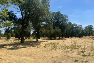 0 Dry Creek Rd, Rio Linda, CA 95673 - Photo 1