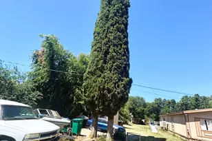 1547 S Adelbert Ave, Stockton, CA 95215 - Photo 32