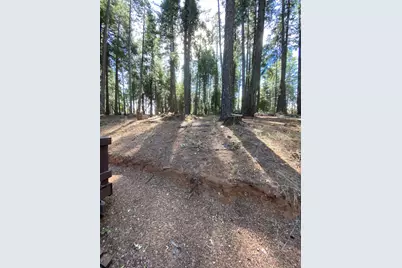 3441 Spirit Lane, Pollock Pines, CA 95726 - Photo 4