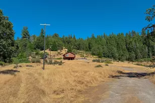 2801 Egenhoff Ln, West Point, CA 95255 - Photo 6