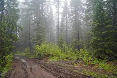 19498 Marsh Mill Road, Nevada City, CA 95959 - Photo 12