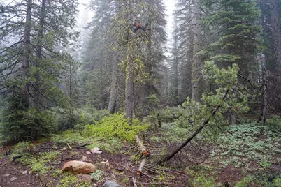 19498 Marsh Mill Road, Nevada City, CA 95959 - Photo 6