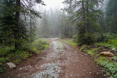 19498 Marsh Mill Road, Nevada City, CA 95959 - Photo 4