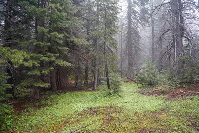 19498 Marsh Mill Road, Nevada City, CA 95959 - Photo 10