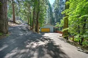 3644 Gold Ridge Trail, Pollock Pines, CA 95726 - Photo 14