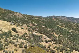 20505 Coalinga Rd, Paicines, CA 95043 - Photo 54
