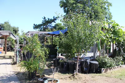 681 Taylor Road, Lodi, CA 95242 - Photo 36