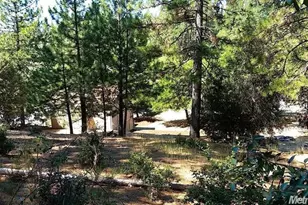 111 Ponderosa Way, Colfax, CA 95713 - Photo 22