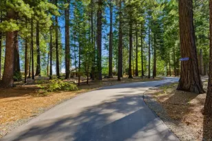 23420 State Hwy 20, Nevada City, CA 95959 - Photo 66