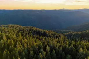 23420 State Hwy 20, Nevada City, CA 95959 - Photo 76