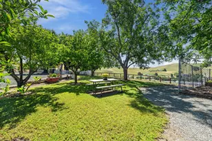 7225 Johnston Rd, Pleasanton, CA 94588 - Photo 62