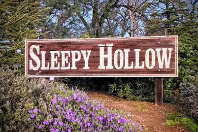 2660 Sleepy Hollow Drive, Shingle Springs, CA 95682 - Photo 4