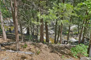 36 Milestone Ln, Kyburz, CA 95720 - Photo 32