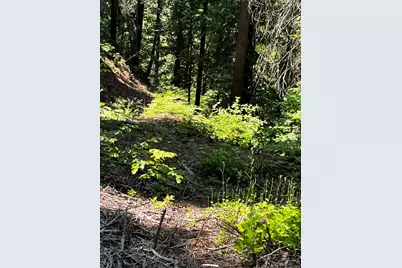 1 Usfs 8Bn54 Road, Somerset, CA 95684 - Photo 34