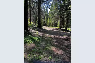 1 Usfs 8Bn54 Road, Somerset, CA 95684 - Photo 44