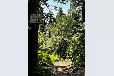1 Usfs 8Bn54 Road, Somerset, CA 95684 - Photo 48