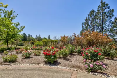 13320 Oakstream Road, Plymouth, CA 95669 - Photo 54