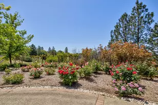 13320 Oakstream Rd, Plymouth, CA 95669 - Photo 54