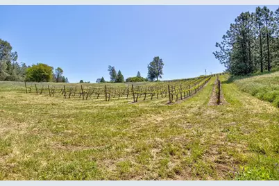 13320 Oakstream Road, Plymouth, CA 95669 - Photo 68