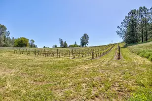 13320 Oakstream Rd, Plymouth, CA 95669 - Photo 68