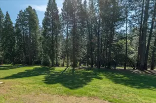 291 Fairway Village Dr, Murphys, CA 95247 - Photo 28