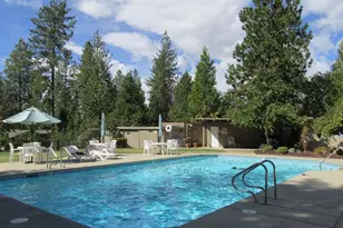 291 Fairway Village Dr, Murphys, CA 95247 - Photo 40