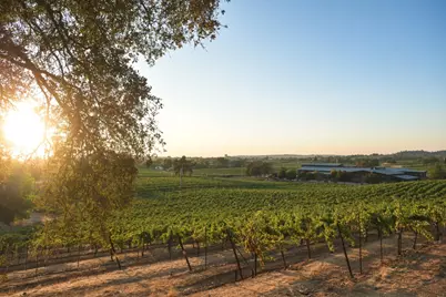 20540 Shenandoah School Road, Plymouth, CA 95669 - Photo 8