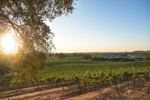 20540 Shenandoah School Rd, Plymouth, CA 95669 - Photo 8