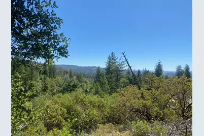 1636 Nickerson Lane, Murphys, CA 95247 - Photo 18