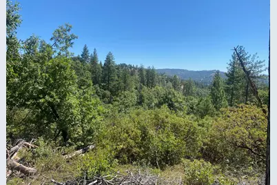 1636 Nickerson Lane, Murphys, CA 95247 - Photo 20