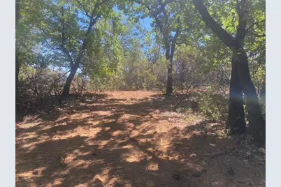 1636 Nickerson Lane, Murphys, CA 95247 - Photo 24