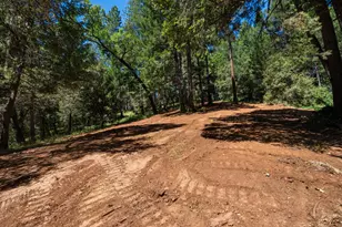 3801 Glory Hole Ct, Camino, CA 95709 - Photo 1