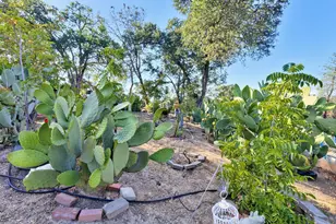 5263 Chile Camp Rd, Burson, CA 95225 - Photo 18