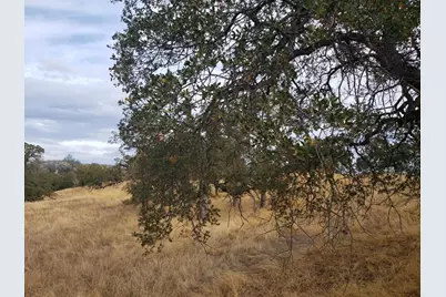 2275 Buena Vista Drive, La Grange, CA 95329 - Photo 12