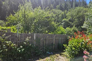 420 S 1st St, Dunsmuir, CA 96025 - Photo 26