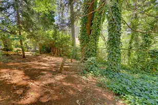 12104 Sunny Slope Dr, Nevada City, CA 95959 - Photo 72