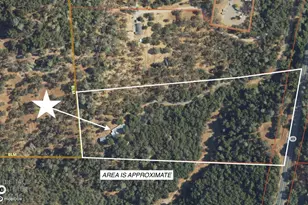 4043 Hwy 49, Mokelumne Hill, CA 95245 - Photo 18