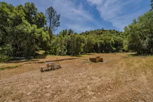 4043 Hwy 49, Mokelumne Hill, CA 95245 - Photo 86
