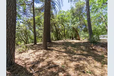 5030 Irish Oak Lane, Placerville, CA 95667 - Photo 10