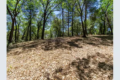 5030 Irish Oak Lane, Placerville, CA 95667 - Photo 8