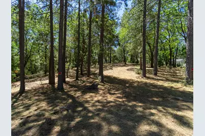 5030 Irish Oak Lane, Placerville, CA 95667 - Photo 4