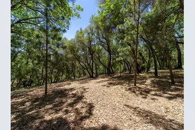5030 Irish Oak Lane, Placerville, CA 95667 - Photo 12