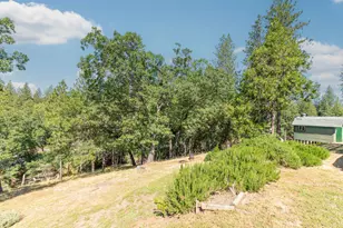 11037 Clinton Bar Rd, Pine Grove, CA 95665 - Photo 34