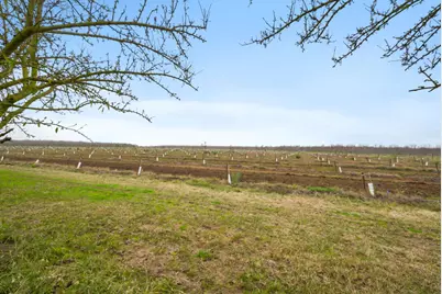 16221 Carrolton, Escalon, CA 95320 - Photo 42