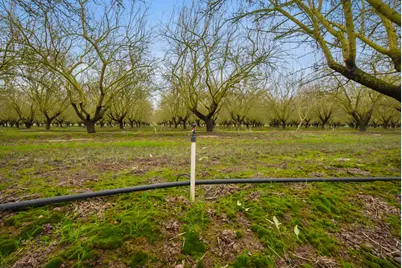 16221 Carrolton, Escalon, CA 95320 - Photo 36