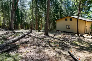 14843 Youngs Hill Rd, Camptonville, CA 95922 - Photo 60