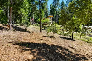14843 Youngs Hill Rd, Camptonville, CA 95922 - Photo 72