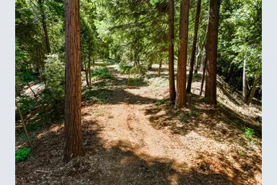 14843 Youngs Hill Road, Camptonville, CA 95922 - Photo 78