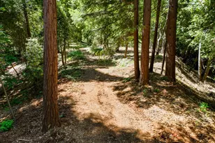 14843 Youngs Hill Rd, Camptonville, CA 95922 - Photo 78